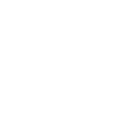 Versatile Fleet for 28mt to 35mt Loads