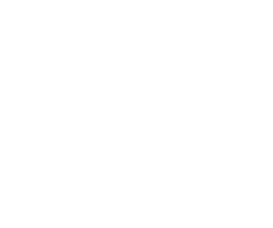 EZK-Icon---PROFESSIONAL